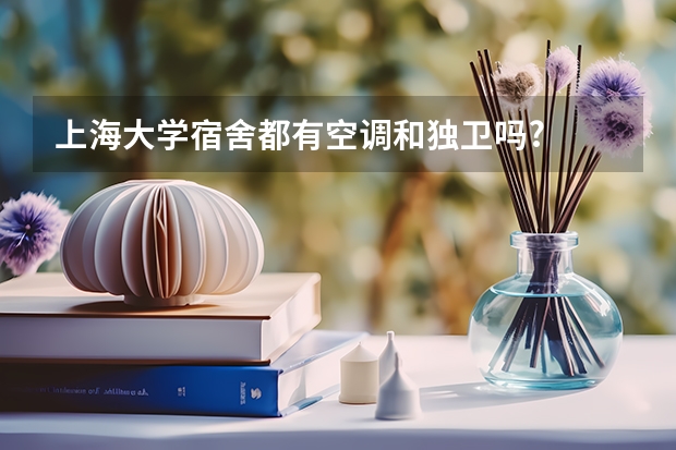 上海大学宿舍都有空调和独卫吗?