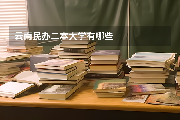 云南民办二本大学有哪些
