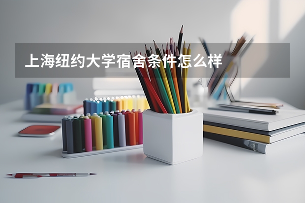 上海纽约大学宿舍条件怎么样