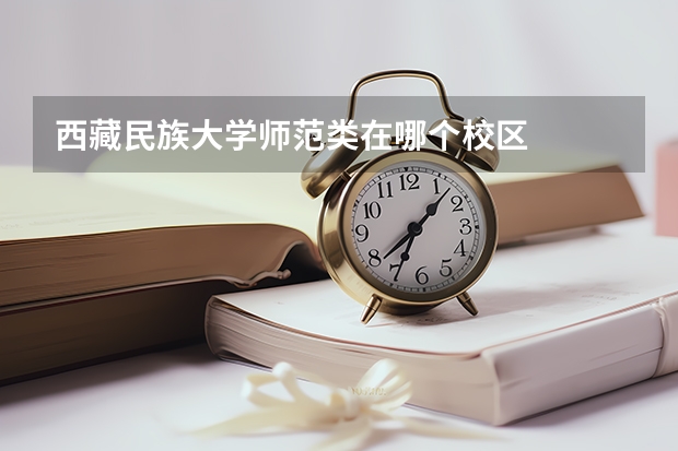 西藏民族大学师范类在哪个校区