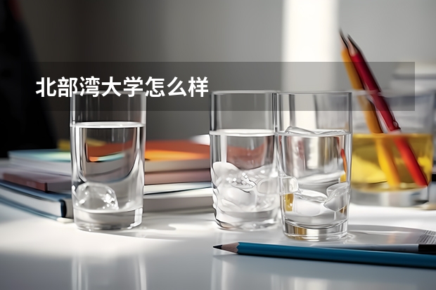 北部湾大学怎么样