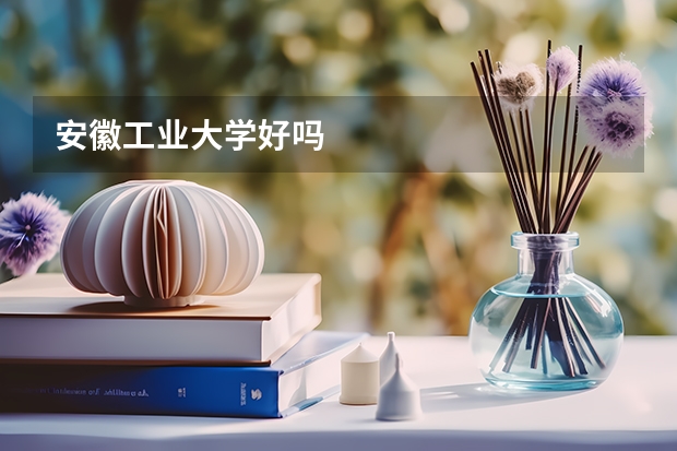 安徽工业大学好吗