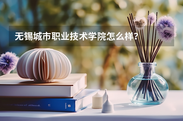无锡城市职业技术学院怎么样？