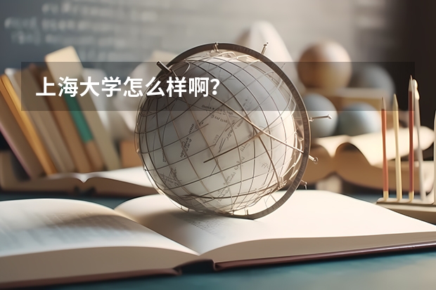 上海大学怎么样啊？