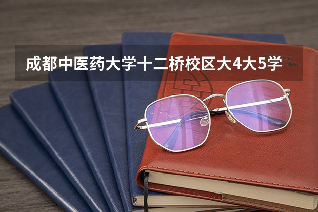 成都中医药大学十二桥校区大4大5学生宿舍有空调吗