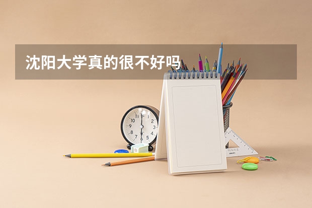 沈阳大学真的很不好吗