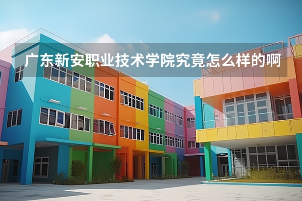 广东新安职业技术学院究竟怎么样的啊？
