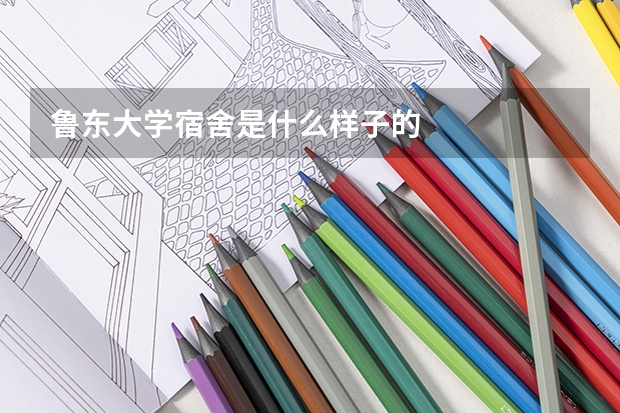 鲁东大学宿舍是什么样子的