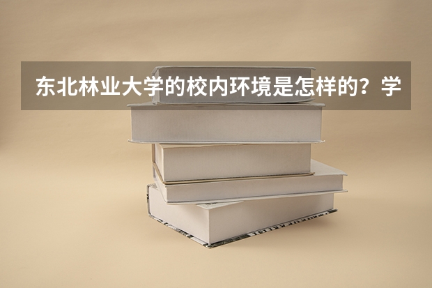东北林业大学的校内环境是怎样的？学习氛围舒适度又如何？