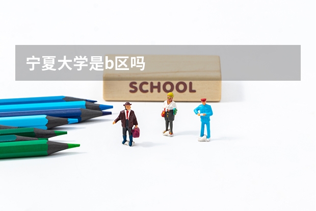宁夏大学是b区吗