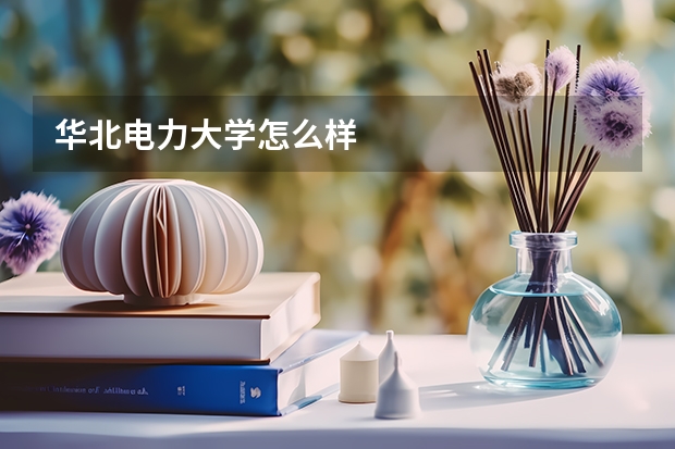 华北电力大学怎么样