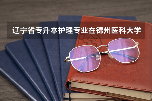 辽宁省专升本护理专业在锦州医科大学哪个校区举行
