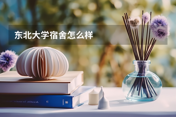 东北大学宿舍怎么样