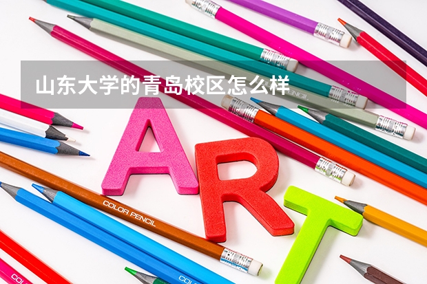 山东大学的青岛校区怎么样