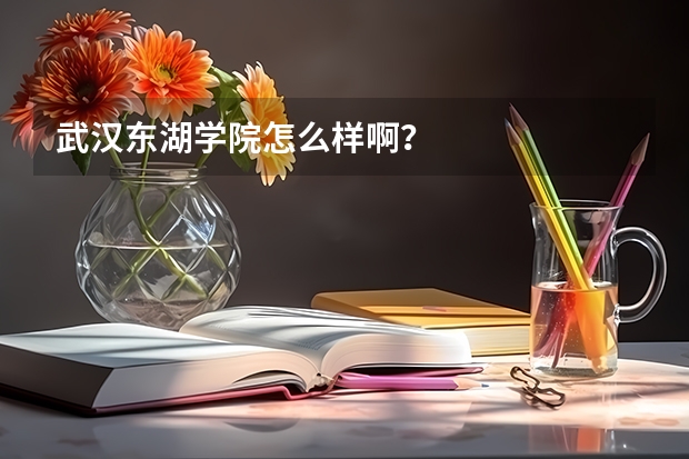 武汉东湖学院怎么样啊？
