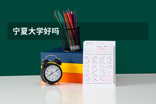 宁夏大学好吗