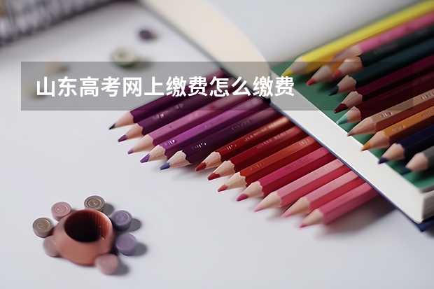山东高考网上缴费怎么缴费