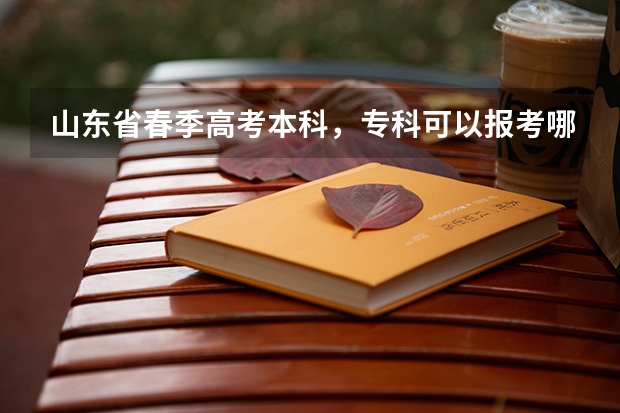 山东省春季高考本科，专科可以报考哪些学校
