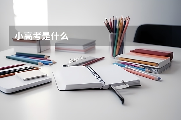 小高考是什么