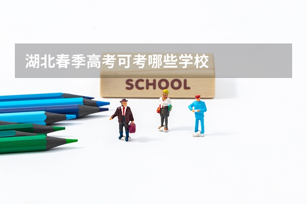 湖北春季高考可考哪些学校