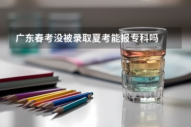 广东春考没被录取夏考能报专科吗