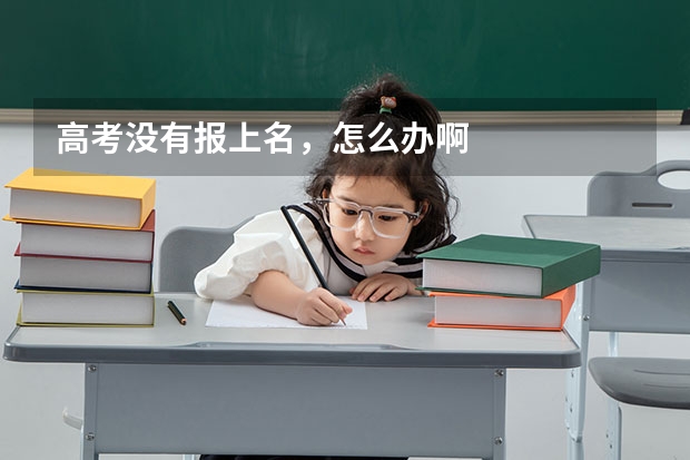 高考没有报上名，怎么办啊