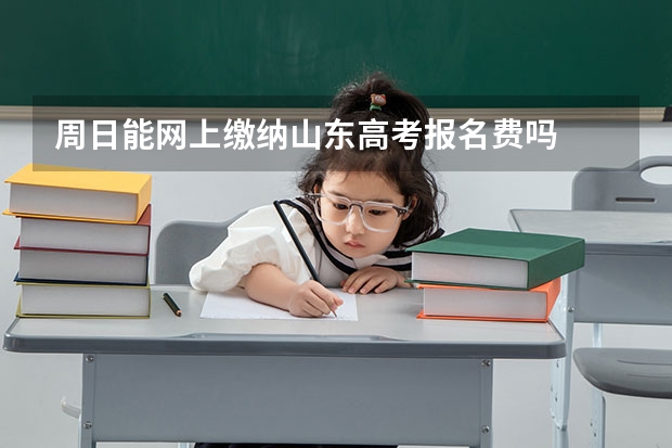 周日能网上缴纳山东高考报名费吗