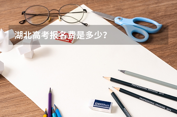湖北高考报名费是多少？