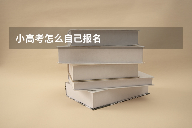 小高考怎么自己报名