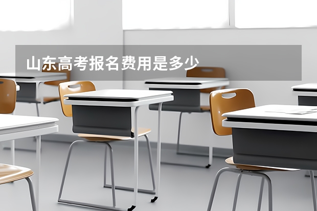 山东高考报名费用是多少