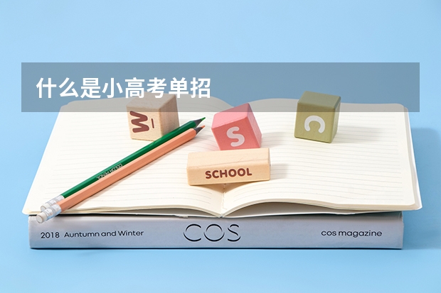 什么是小高考单招