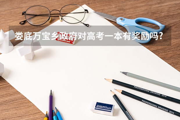 娄底万宝乡政府对高考一本有奖励吗?