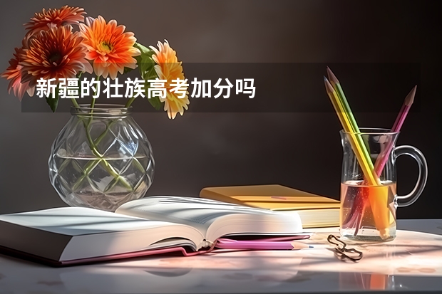 新疆的壮族高考加分吗