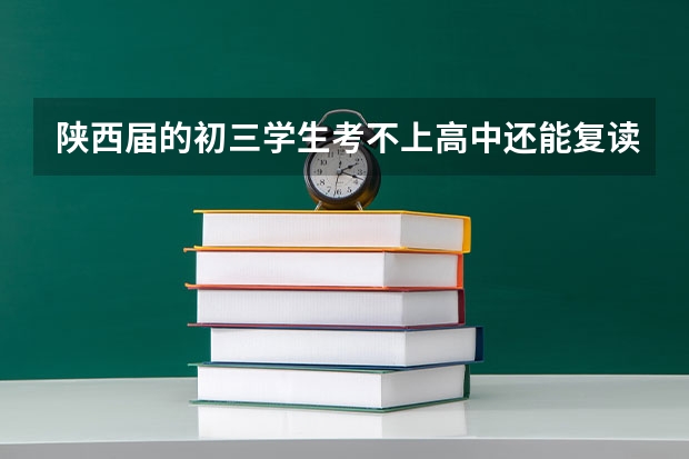 陕西届的初三学生考不上高中还能复读吗？
